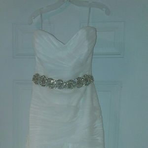 Plus size wedding gown, cathedral veil, and sash